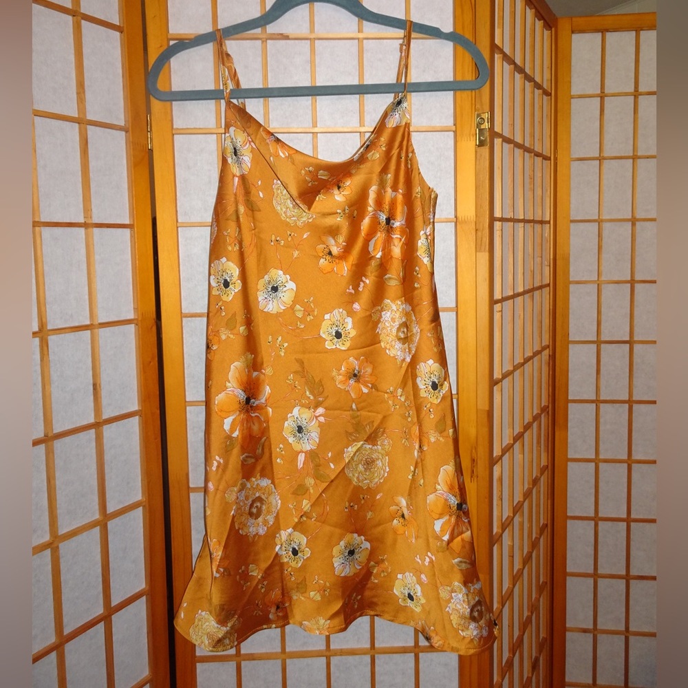 Princess Polly Dress